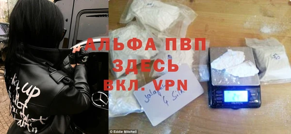 стаф Абинск
