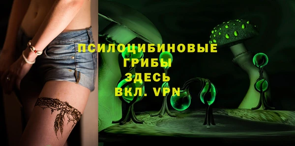 стаф Абинск