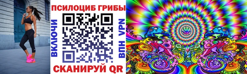 где купить наркоту  Домодедово  Галлюциногенные грибы Cubensis 